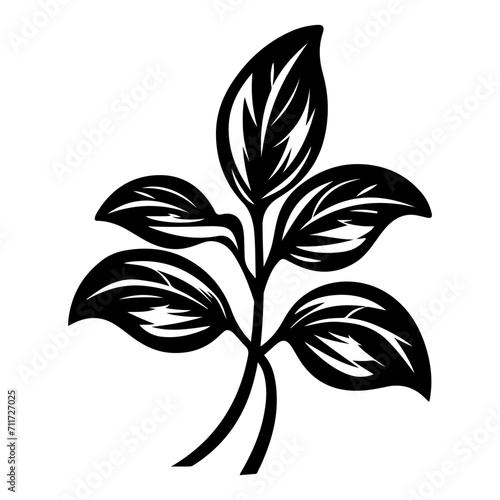 basil icon illustration, basil black silhouette logo svg vector