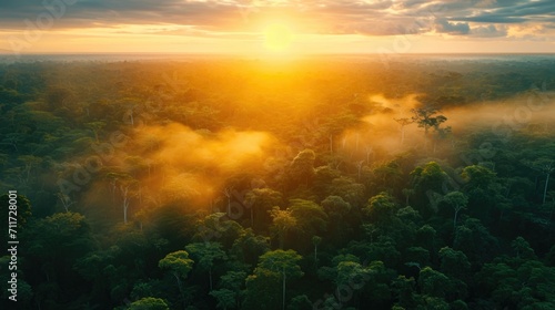 Beautiful green amazon forest landscape at sunset sunrise.