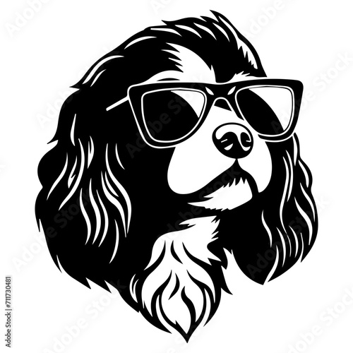 Cool Boykin Spaniel wearing sunglass black silhouette logo svg vector, Boykin Spaniel dog icon illustration. photo