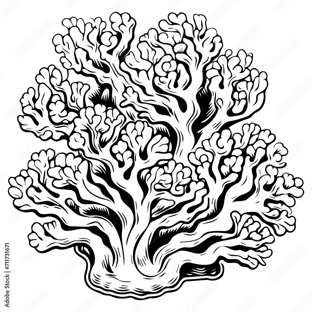 Fototapeta premium coral reef icon illustration, coral reef black silhouette logo svg vector