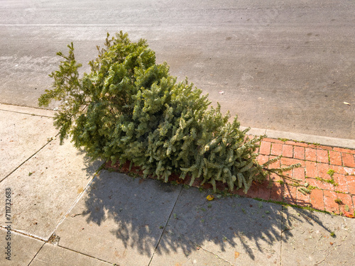 Slika na platnu discarded Christmas tree left on a sidewalk