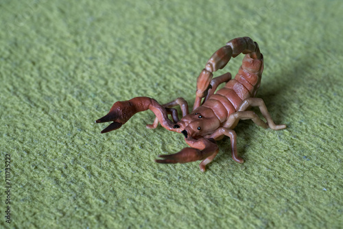 Plastic figure of a scorpion.
