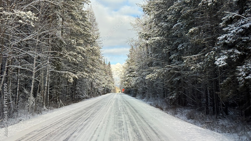 Obraz premium winter road in the forest