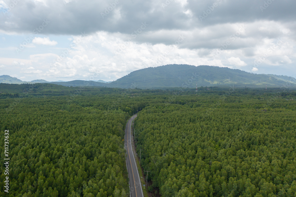 Fototapeta premium Aerial view of cars driving on highway or moterway. Overpass bridge street roads in connection network of architecture concept. Top view of forest trees. Nature landscape