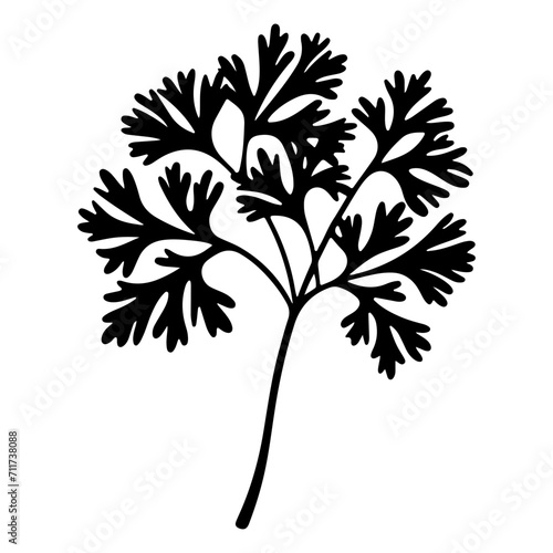 parsley icon illustration  parsley black silhouette logo svg vector