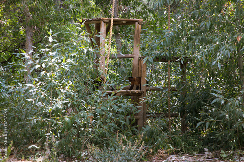 Denver, Colorado\ USA - August 18, 2020: Denver City Zoo photo