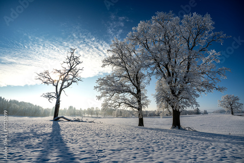 Winterlandschaft  © T. Linack