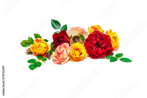Pink and yellow roses with eucalyptus leaves in a linear arrangement isolated on a white background.