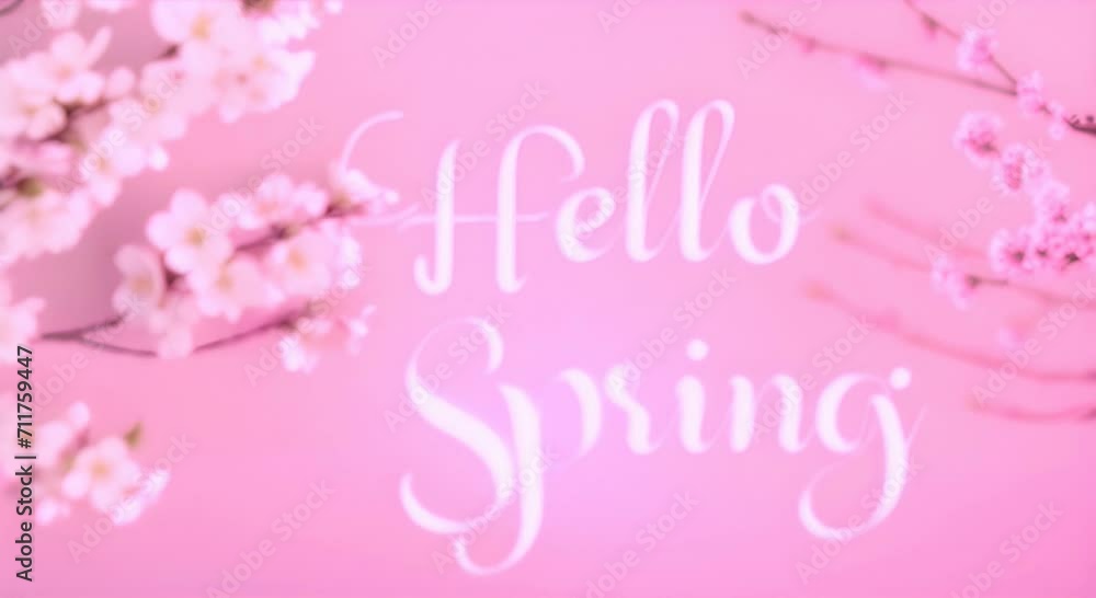 Branches of blooming sakura on a pink background. The concept of welcoming spring. Branches of blooming sakura on a pink background. The concept of welcoming spring.