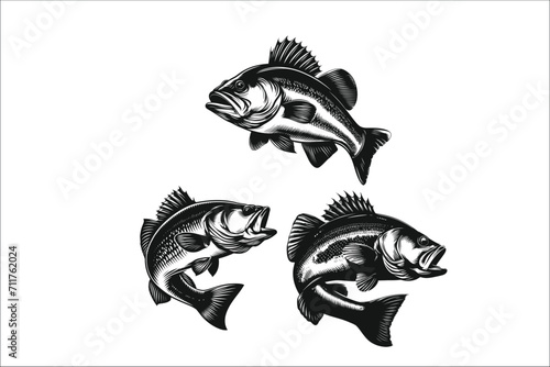 Bass Craft Pro Pack: Elevate Your Designs with an Exclusive Vector Bundle of Lively Bass Fish - Perfect for Graphic Artists and Fishing Enthusiasts Alike