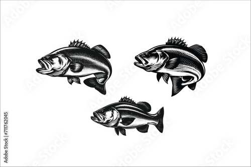 Bass Craft Pro Pack: Elevate Your Designs with an Exclusive Vector Bundle of Lively Bass Fish - Perfect for Graphic Artists and Fishing Enthusiasts Alike