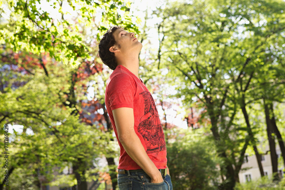Young man looking up at the trees while in a park. Young man looking up at the trees while in a park.