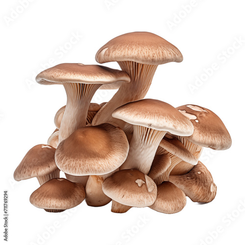 Mushrooms isolated on transparent and white background. Generative ai