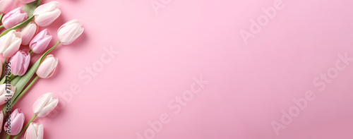 Beautiful pink tulips on a pastel pink background