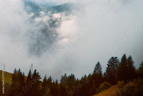 Autumn's Whisper: A Serene Alpine Forest Edging into the Mountain Mist