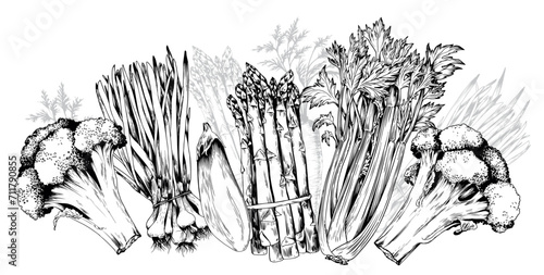 Horizontal border with farm vegetables. Hand drawn black and white vector illustration.