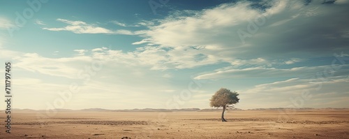 Lonely tree in the middle of the lifeless dry desert