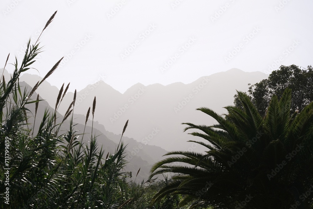 Misty mountain landscape from La Hermigua in La Gomera, Canary Islands, Spain with famous Roques de San Pedro (Twin rocks of Hermigua), iconic rock formation