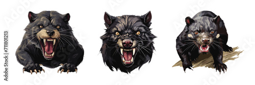 Three Fierce Tasmanian Devils: A trio of snarling Tasmanian Devils, their sharp teeth and piercing gaze, capture the wild spirit of these enigmatic creatures, isolated on white background