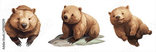 Wombat Wonders: A trio of adorable wombats strike playful poses, showcasing their unique charm and cuddly physique in a digitally rendered illustration. 
