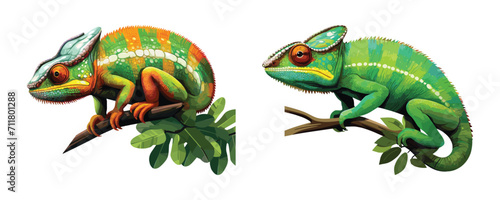 Set of chameleon lizards with tree branches, cartoon reptile, vector illustration isolated on white background photo