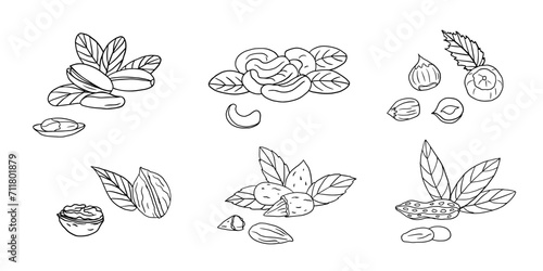 Set of cashew, almond, hazelnut, pistachio, peanut and walnut in doodle style. Nuts. Healthy food. Vector illustration EPS10. Hand drawn. Isolated on white background
