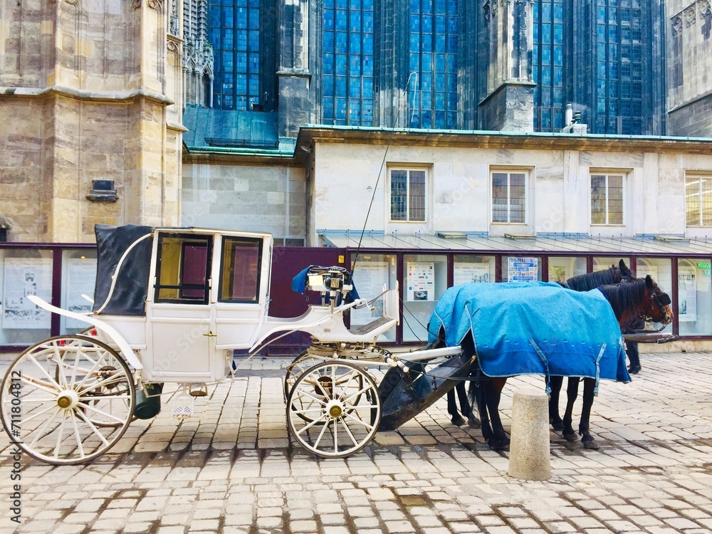 Horse and carriage on the streets of Vienna