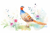 Pheasant, wild beauty , cartoon drawing, water color style, AI Generated