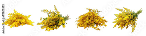 Goldenrod Flower Pile Of Heap Of Piled Up Together Hyperrealistic Highly Detailed Isolated On Transparent Background Png File