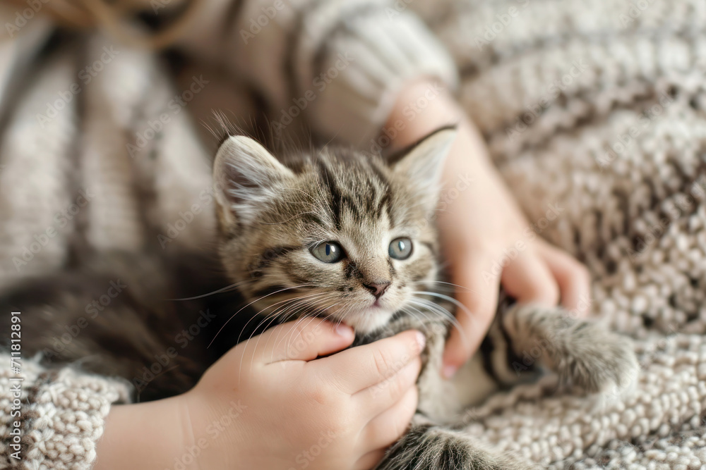 Cute little tabby kitten with child's hands. Cute little tabby kitten with child's hands.