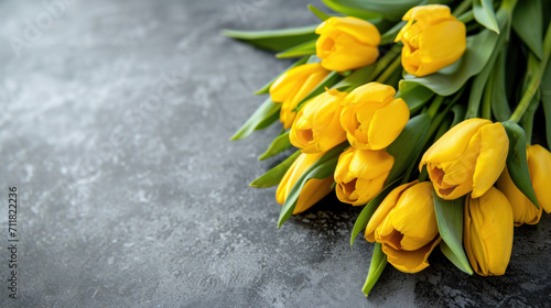 tulip flowers of delicate yellow color on a dark background with space for text, copy space mock up, spring summer