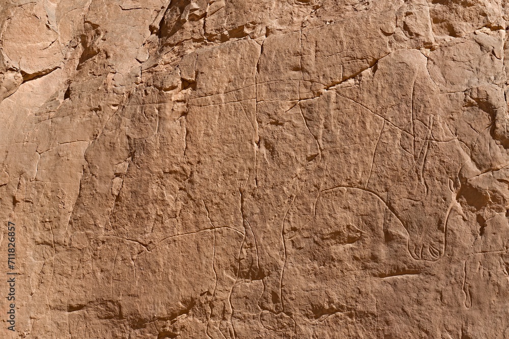 Rock art from the Neolithic period, depictions are buffalo, in Tadrart Rouge, Tassili N Ajjer National Park. Sahara, Algeria, Africa.
