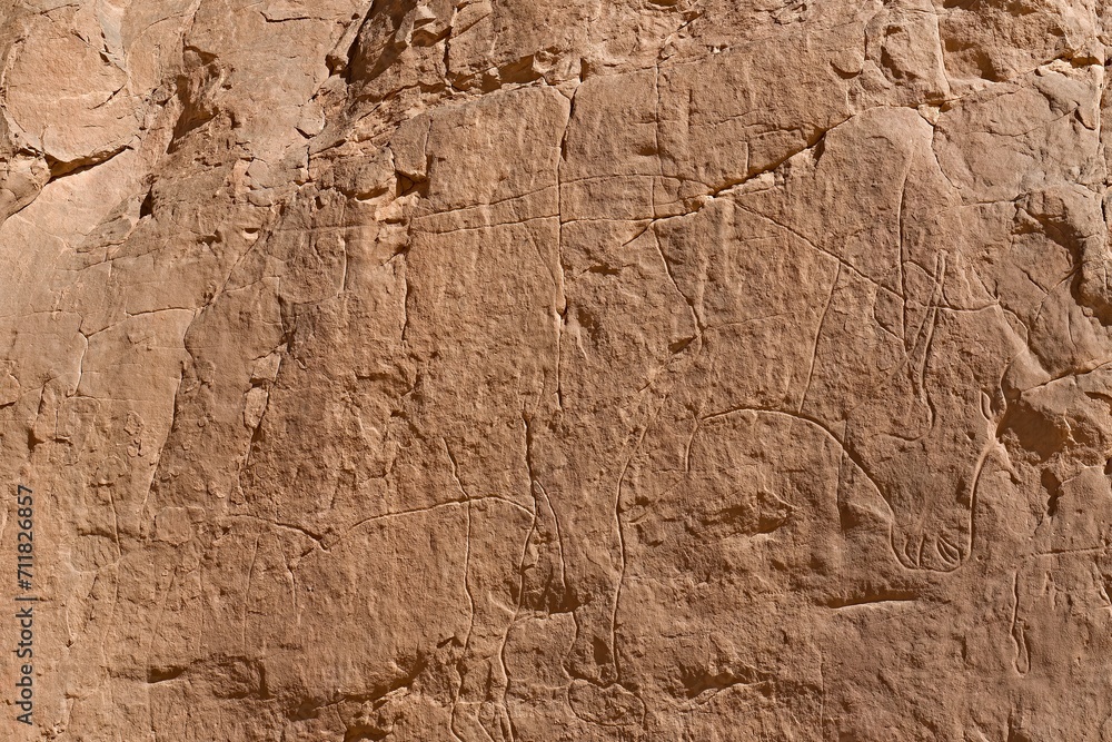 Rock art from the Neolithic period, depictions are buffalo, in Tadrart Rouge, Tassili N Ajjer National Park. Sahara, Algeria, Africa. Rock art from the Neolithic period, depictions are buffalo, in Tadrart Rouge, Tassili N Ajjer National Park. Sahara, Algeria, Africa.