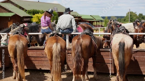 Man and woman sit on metal fence at paddock among horses photo