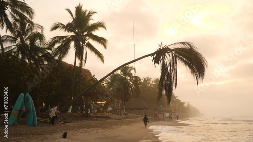 Locals walking on the Palomino beach at beautiful sunset, Colombia. Bent palm tree over the beach. Surfer part of Colombia, Palomino. photo