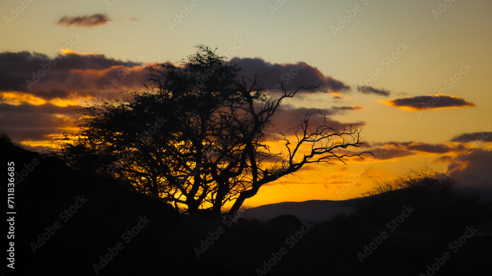 Road to Hana Maui Hawaii Sunset