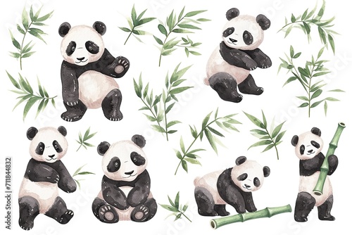 Set of cute panda with bamboo, watercolor illustrations for printing on baby clothes, sticker, postcards, baby showers photo