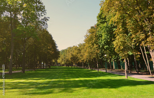 Green and orange trees in beautiful park. Floral and natural autumn landscape © mehaniq41