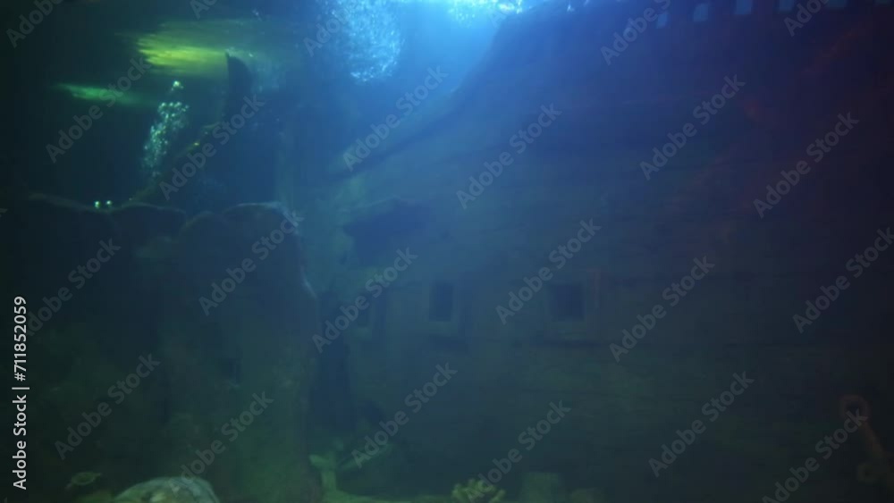 Mermaid and fishes swim in pure water with lights near sunken ship Mermaid and fishes swim in pure water with lights near sunken ship