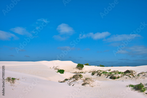 Fototapeta Naklejka Na Ścianę i Meble -  White sand dunes with some scattered green bushes under a blue sky on a hot summer day. Green Head area, Coral Coast, Western Australia
