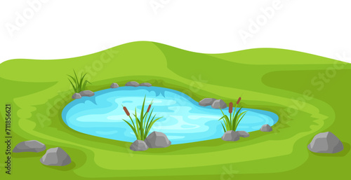 Fototapeta Naklejka Na Ścianę i Meble -  Pond on green lawn with reeds. Colorful blue lake surrounded by grass and stones with cartoon landscape vector design