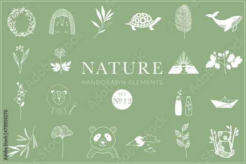 Nature Handdrawn Collection  Illustrations  clipart  animals  botanical  tattoo  drawing  pack
