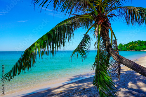 Beach in southeast asia. Palm trees and blue sea  heavenly place