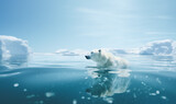Eisbär auf schmelzender Eisscholle, Klimawandel und Klimaerwärmung sorgen für schmelzende Polkappen