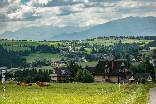 Fototapeta Naklejka Na Ścianę i Meble -  Polish highland village, meadows and mountains