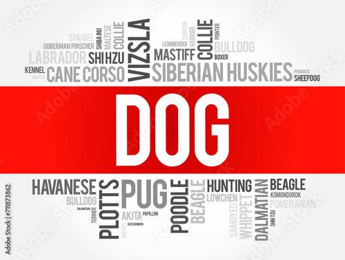 List of most popular dog breeds word cloud collage, animal concept background