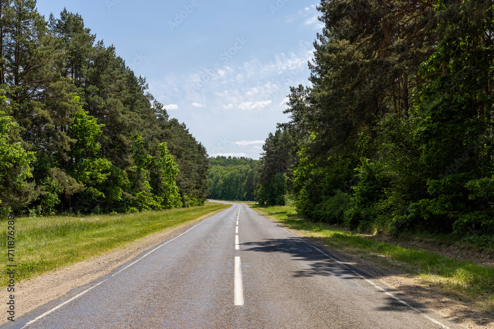 paved road with trees in the forest in sunny weather