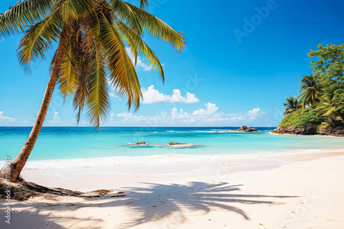 Tropical white sand beach with coconut palms and the turquoise ocean