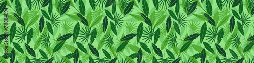 Leaves in jungle seamless pattern. Tropical green plants with exotic shapes summer in hawaii with thickets of plants and lianas fern vector forests.