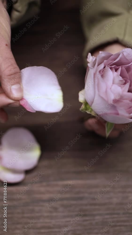 Florist girl works in flower shop Elya Florist girl works in flower shop Elya